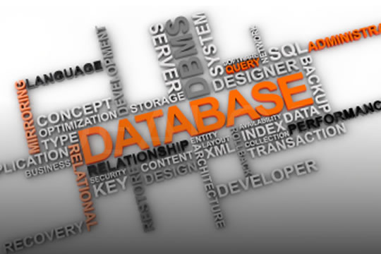 Gestion de base de données